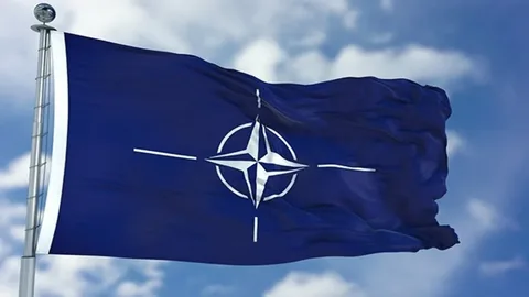 İSVEÇ NATO KARARINI VERDİ