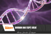 AYAK İZİ VEYA NEFESTEN İNSAN DNA’SI TESPİT EDİLEBİLİYOR