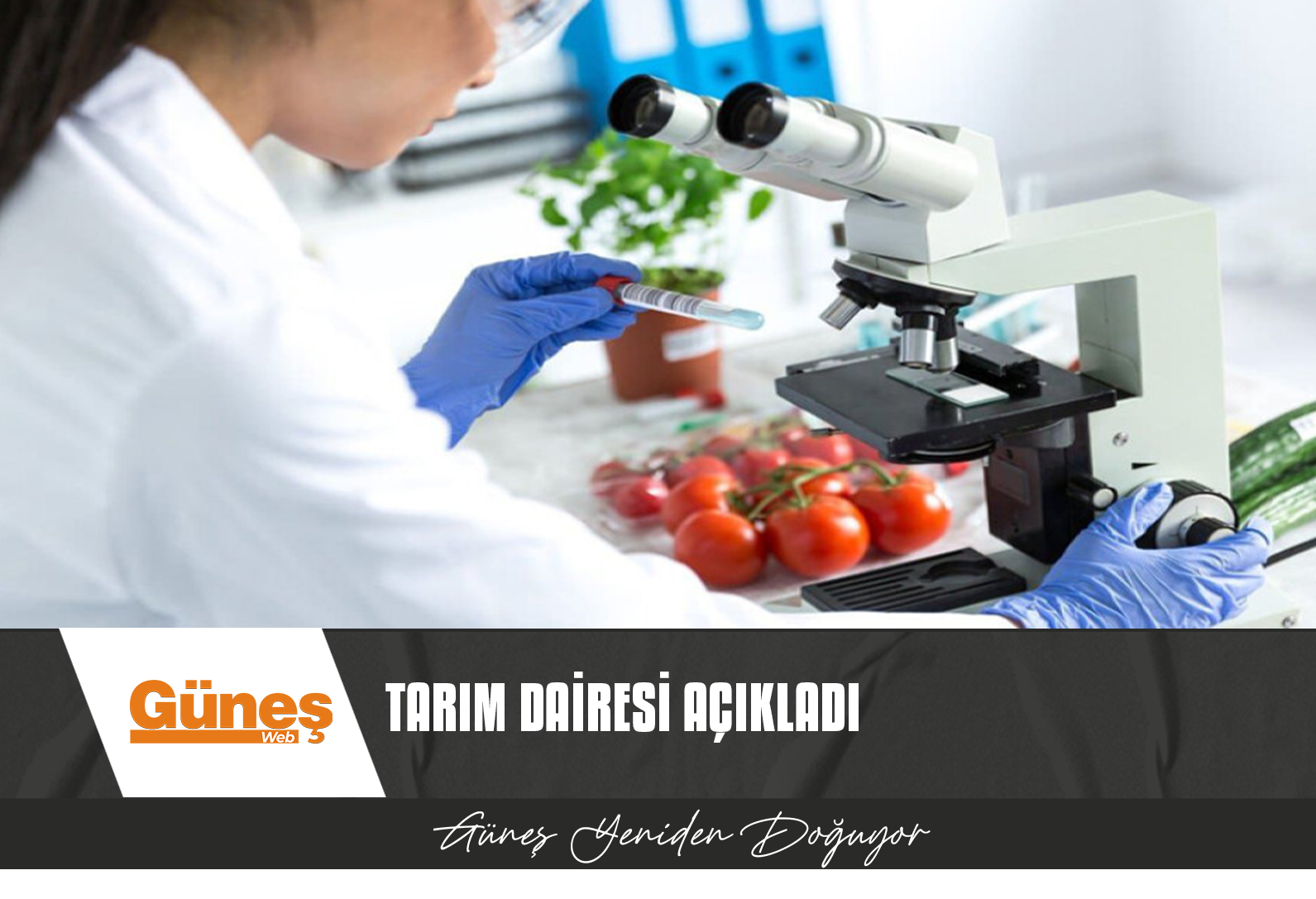 YERLİ ÜRÜNLER TEMİZ, İTHAL ÇERİ DOMATES VE ELMADA LİMİT ÜSTÜ KALINTI