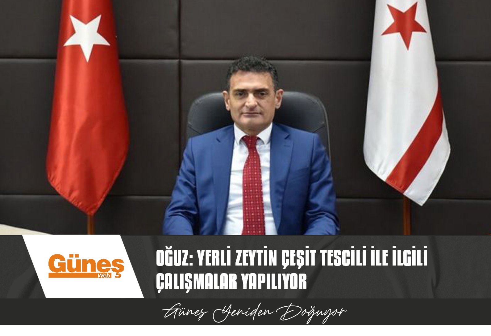 OĞUZ: YERLİ ZEYTİN ÇEŞİT TESCİLİ İLE İLGİLİ ÇALIŞMALAR YAPILIYOR