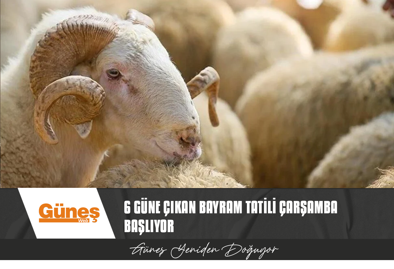 KURBAN BAYRAMI ÇARŞAMBA GÜNÜ BAŞLIYOR