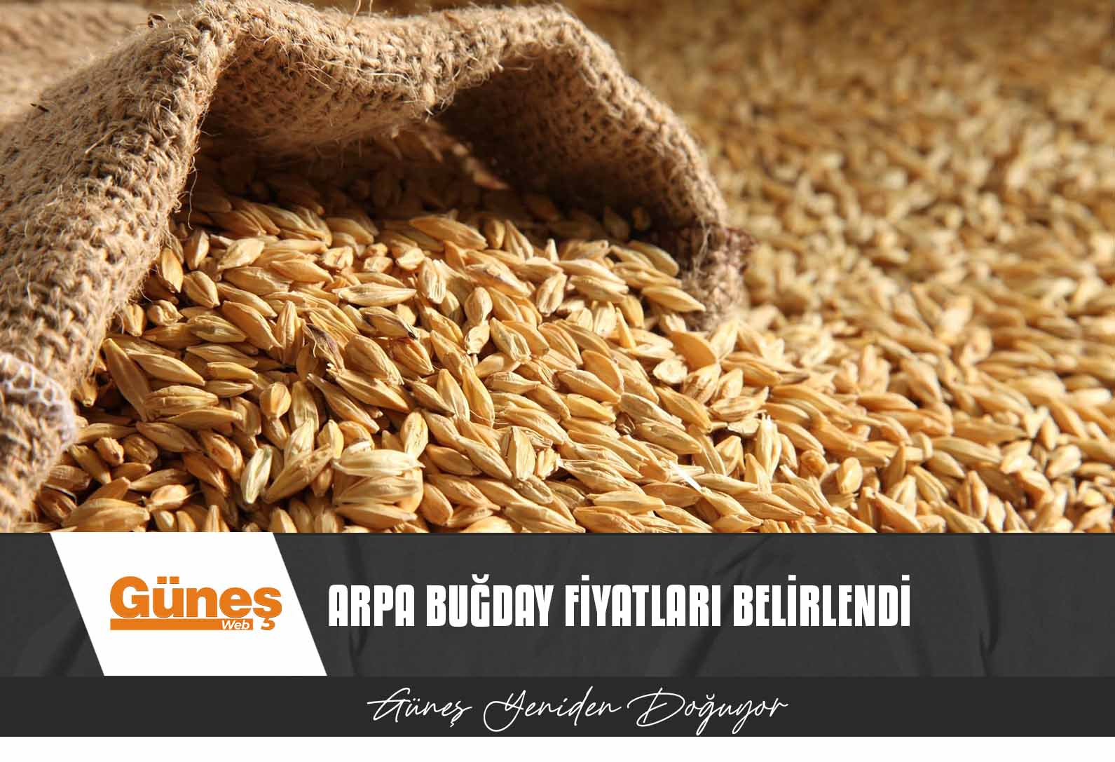 ARPA BUĞDAY FİYATLARI BELİRLENDİ