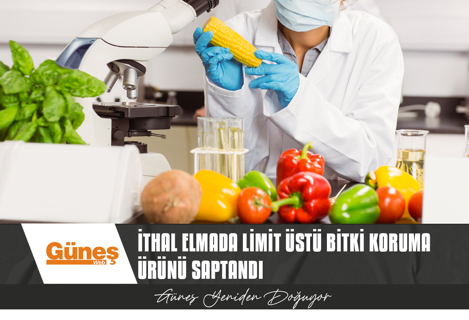 GIDA ANALİZLERİ…