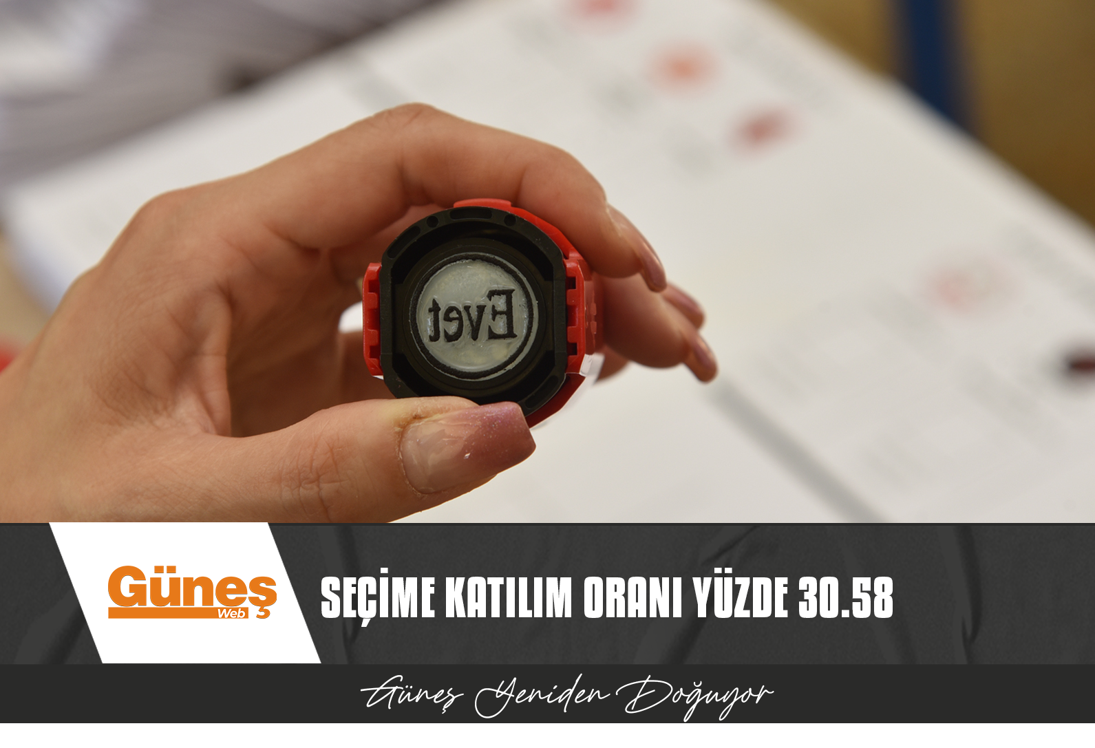 YSK BAŞKANI NARİN FERDİ ŞEFİK AÇIKLADI