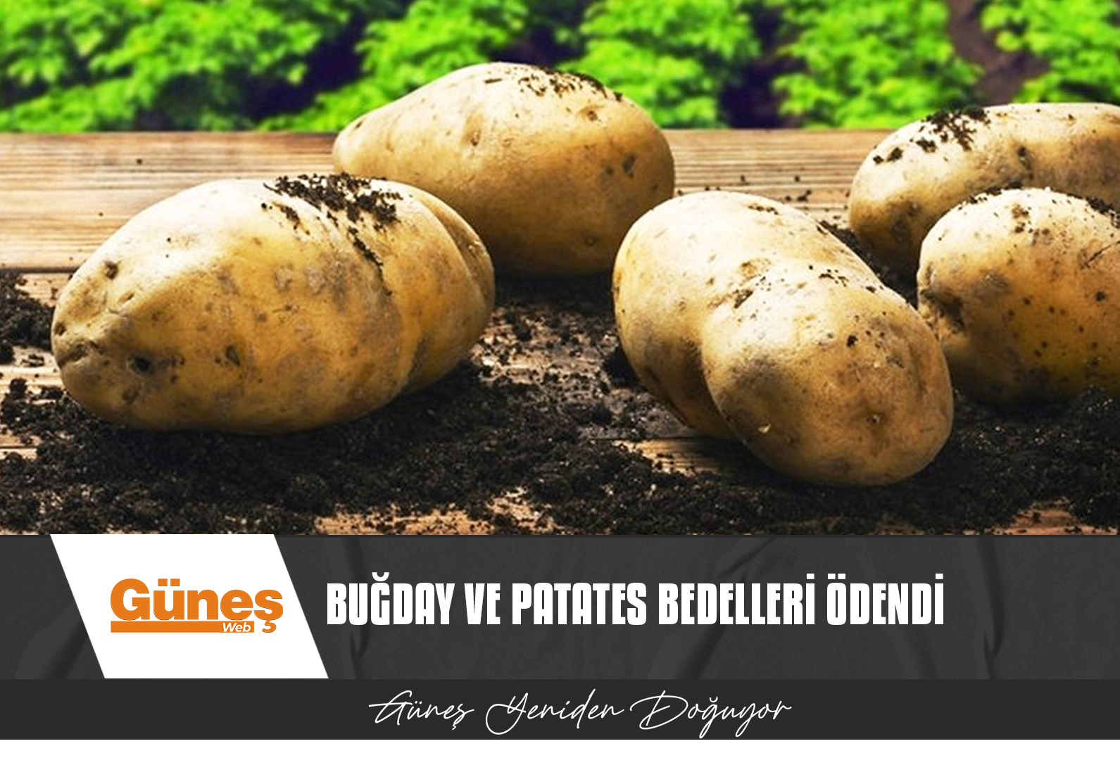 TOPRAK ÜRÜNLERİ KURUMU BUĞDAY VE PATATES BEDELLERİNİN ÖDENDİĞİNİ AÇIKLADI
