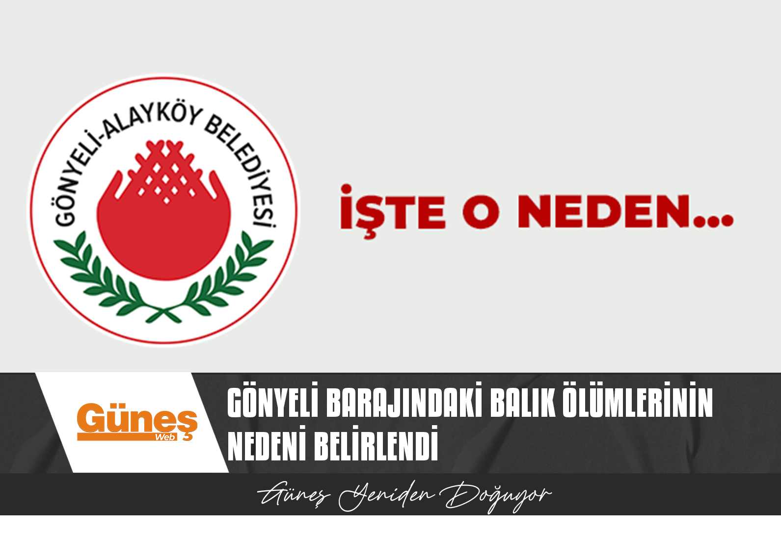 GÖNYELİ ALAYKÖY BELEDİYESİ VE TAŞKENT DOĞA PARKI YETKİLİLERİ GÖNYELİ BARAJI’NDAKİ BALIK ÖLÜMLERİNİ İNCELEDİ