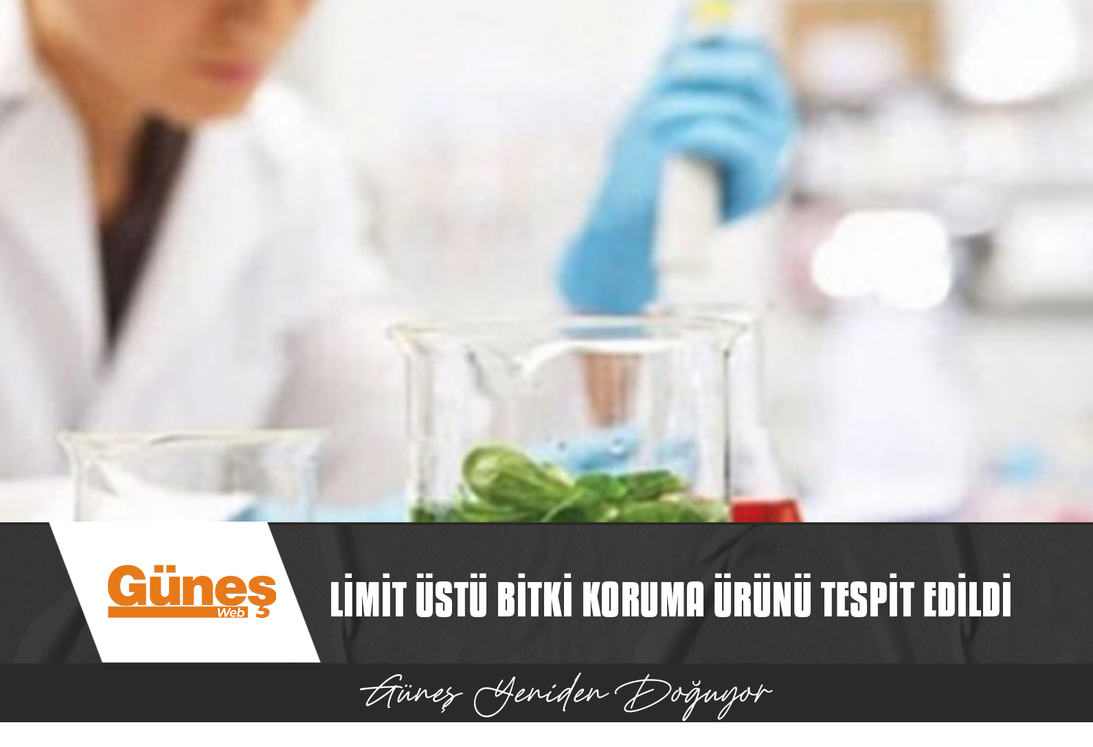 GIDA DENETİM SONUÇLARI AÇIKLANDI