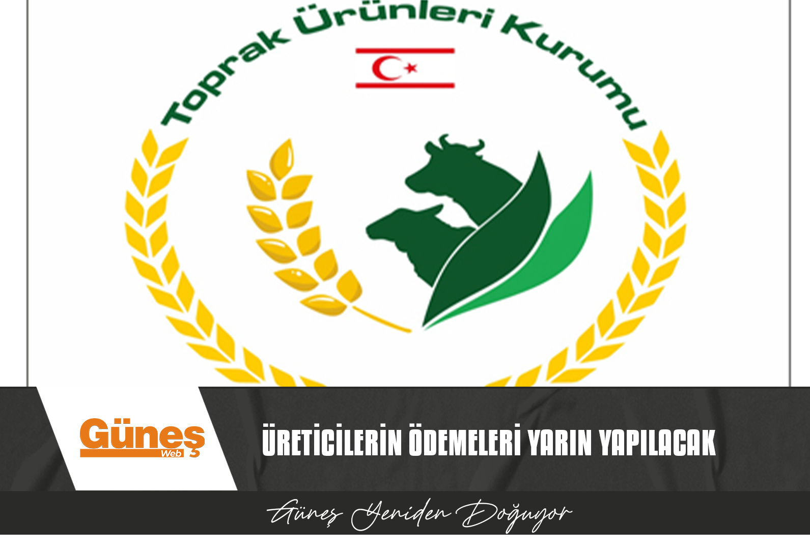 TÜK’E İLKBAHAR ÜRÜNÜ PATATES TESLİM EDEN ÜRETİCİLERİN ÖDEMELERİ YARIN YAPILACAK