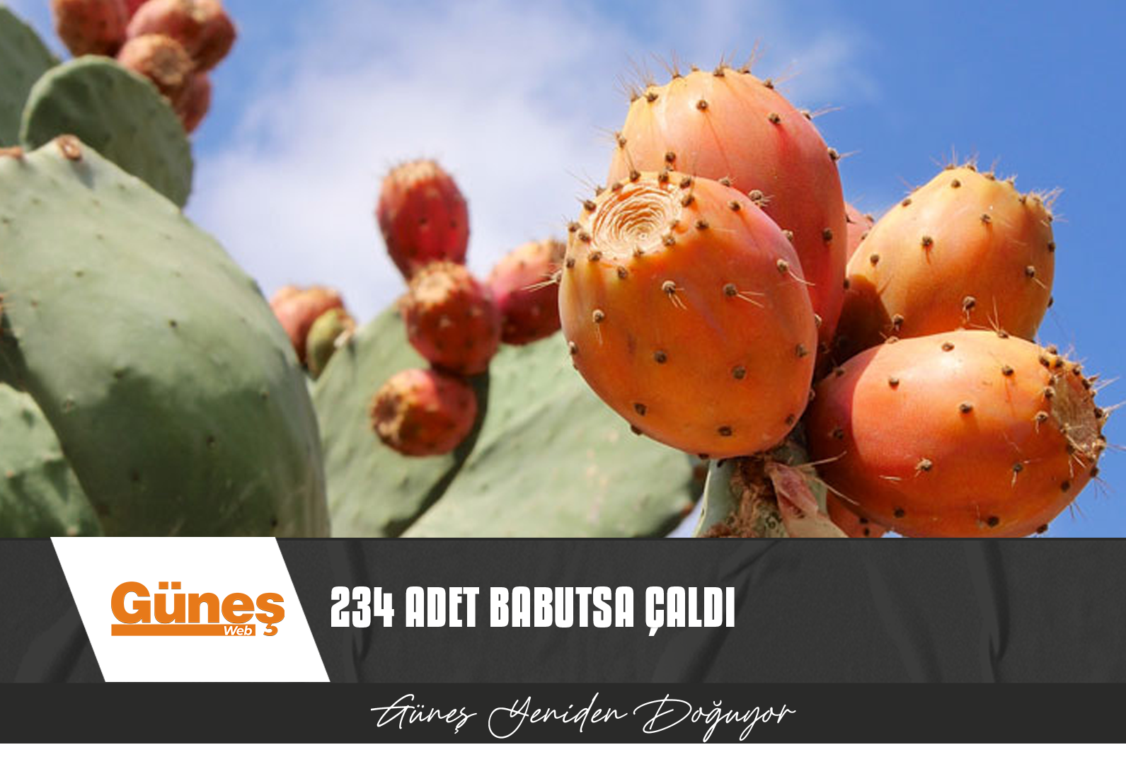 ARAZİYE İZİNSİZ GİRDİ…