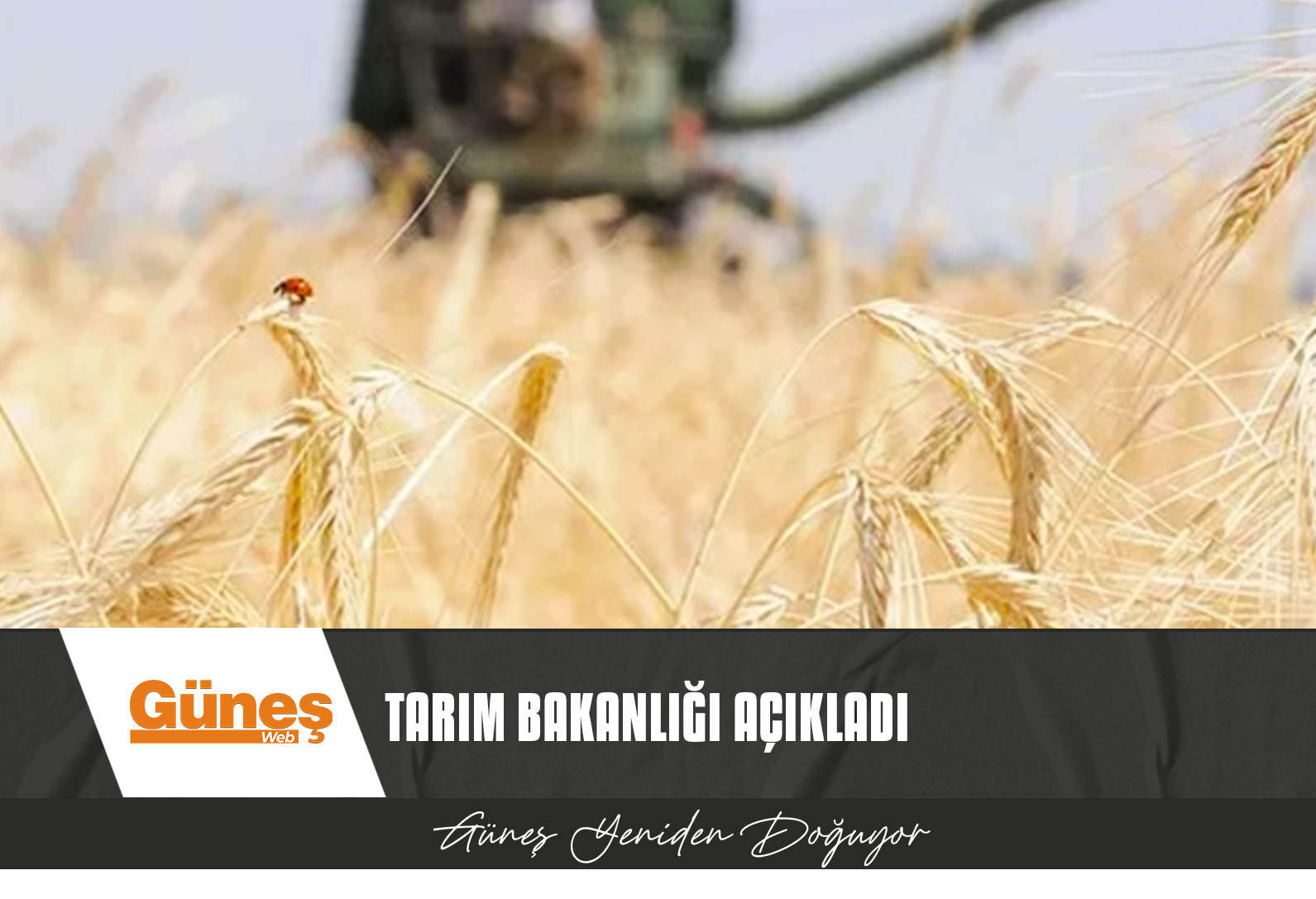 TARIM BAKANLIĞI, 2023 YILI DOĞRUDAN GELİR DESTEĞİ I. AVANS ÖDEMELERİNİN YAPILDIĞINI AÇIKLADI