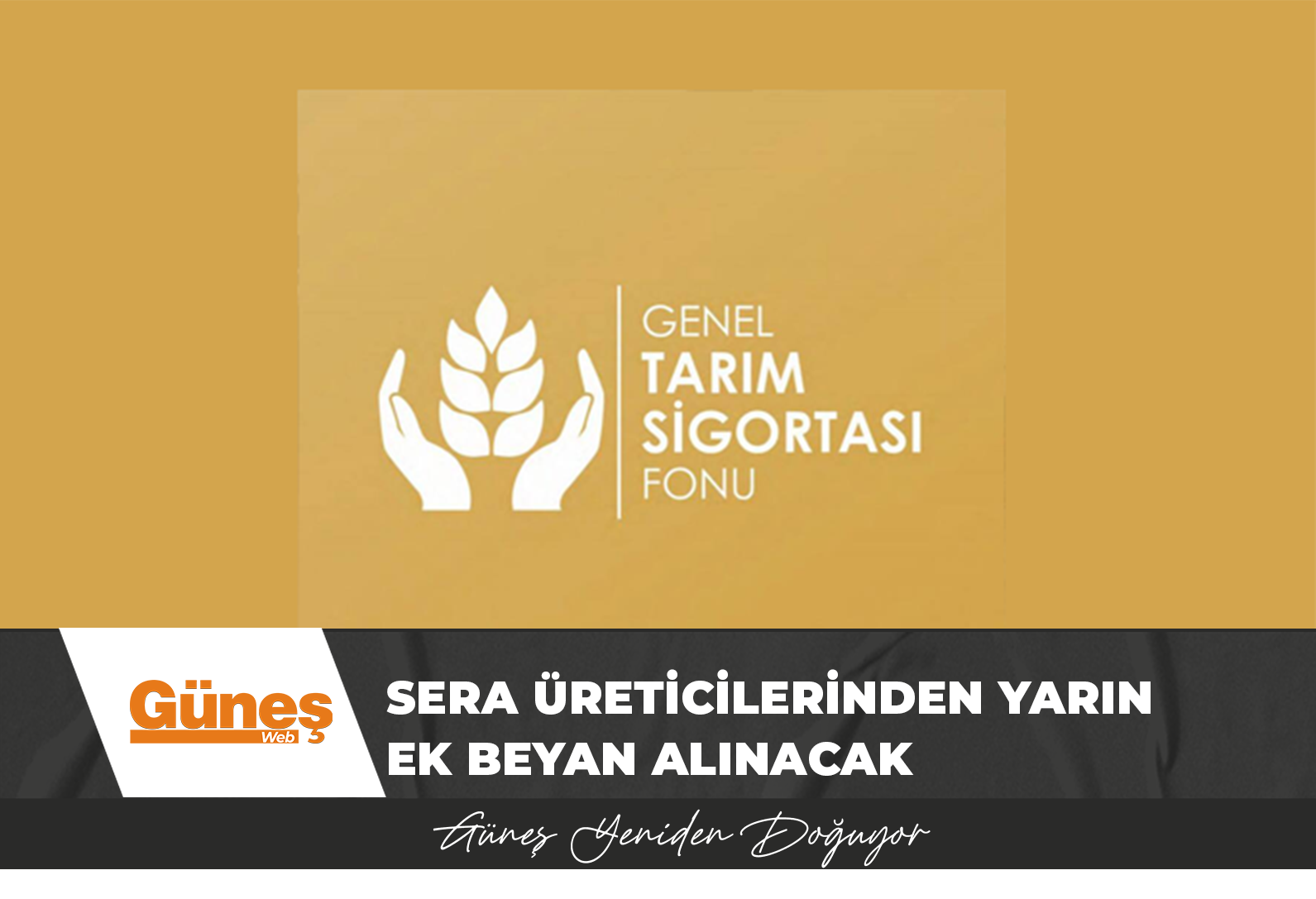 Sera üreticilerinden yarın ek beyan alınacak