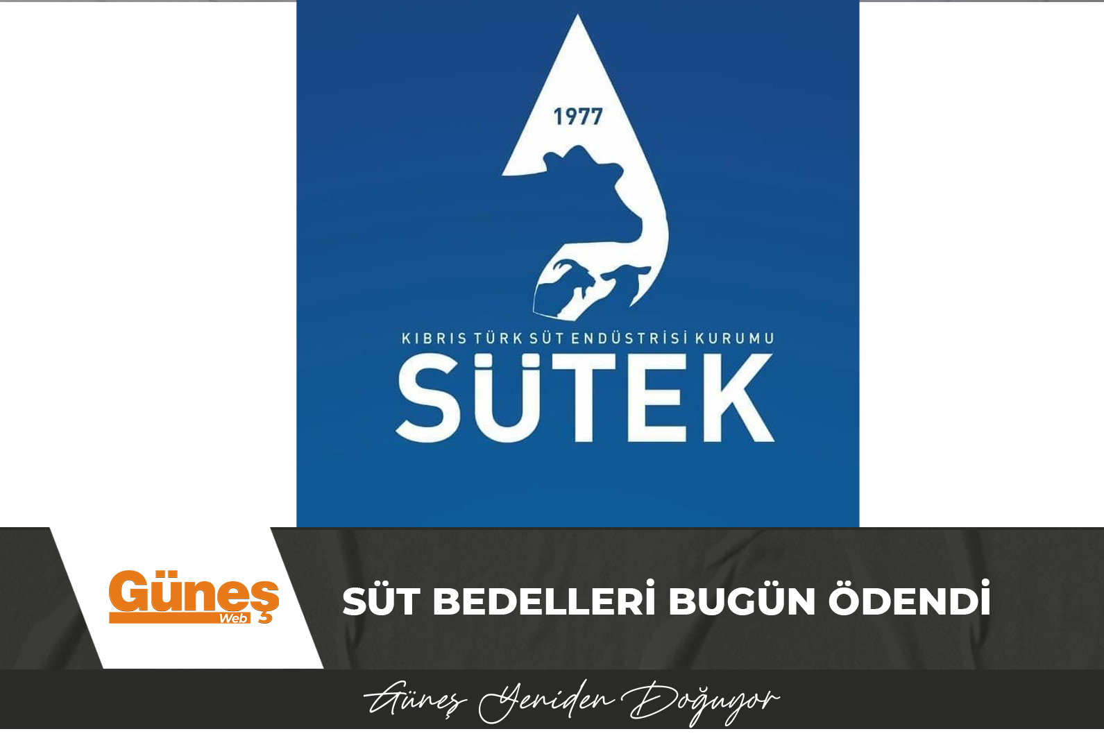 Süt bedelleri bugün ödendi