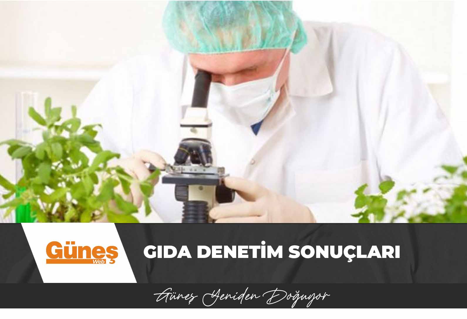 Gıda denetim sonuçları… Bir ithal üründe limit üstü, 3 yerli üründe de tavsiye dışı bitki koruma ürünü tespit edildi