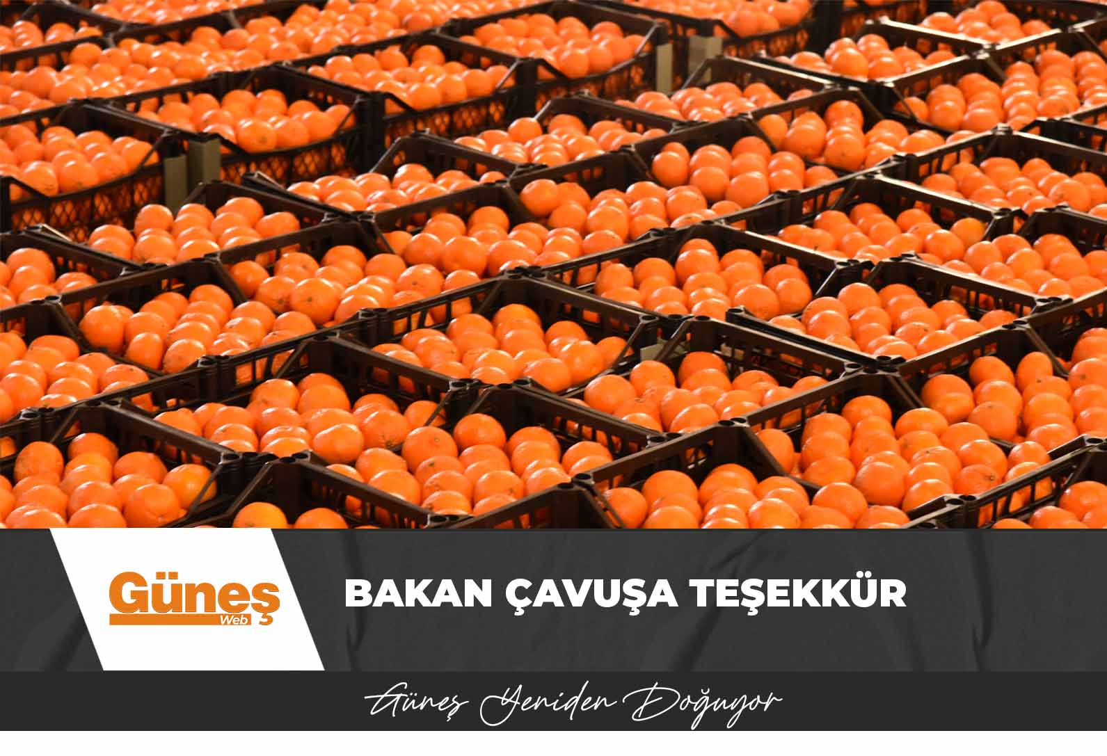 Bakan Çavuş’a teşekkür