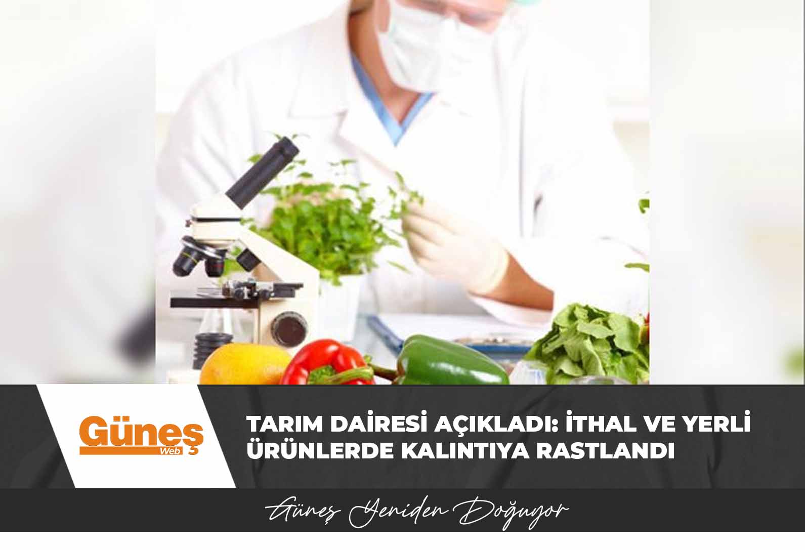 Tarım Dairesi açıkladı: İthal ürünlerden ıspanak, elma, havuçta, yerli ürünlerden biber, pırasa ve enginarda kalıntıya rastlandı