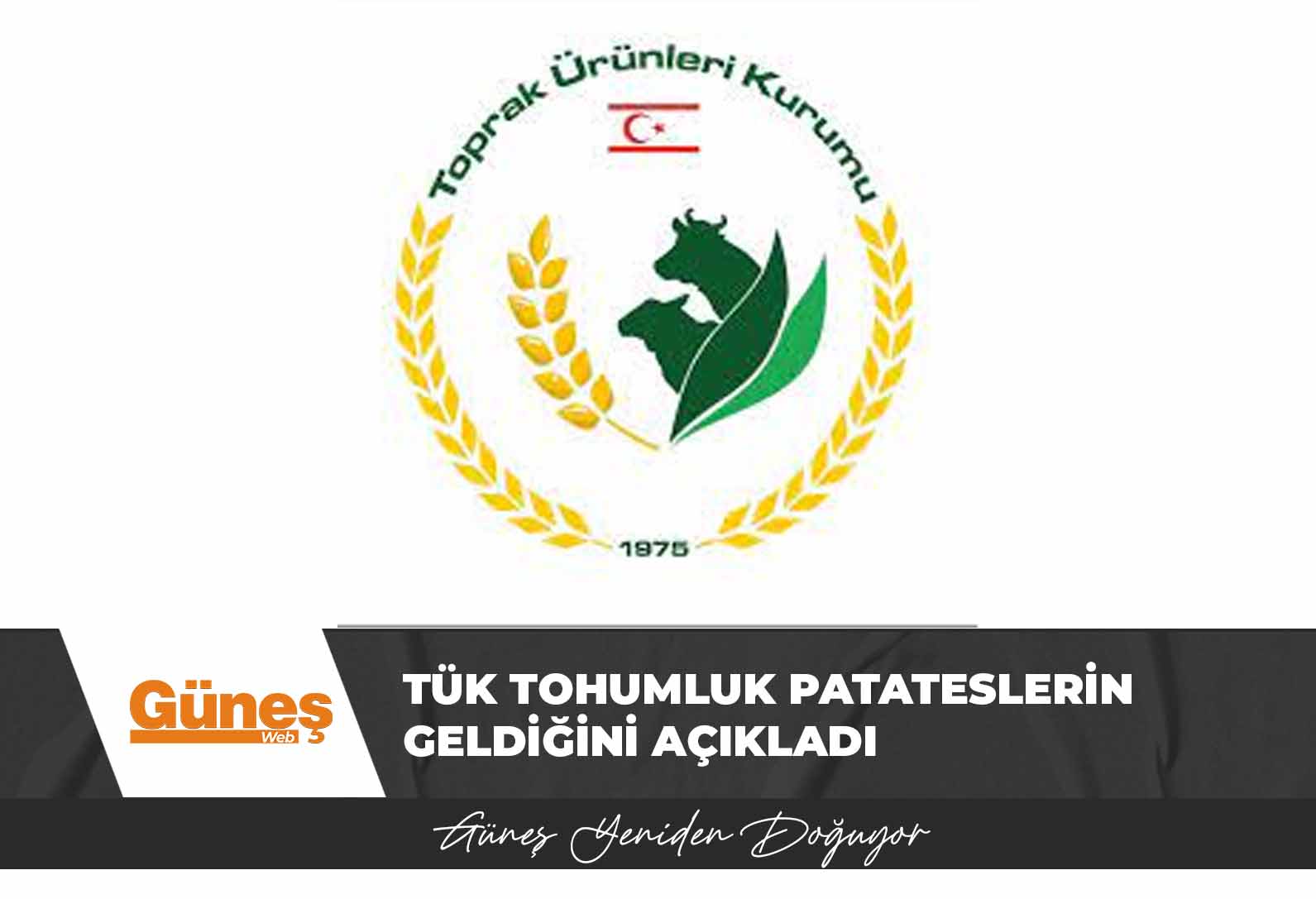 TÜK tohumluk patateslerin geldiğini açıkladı