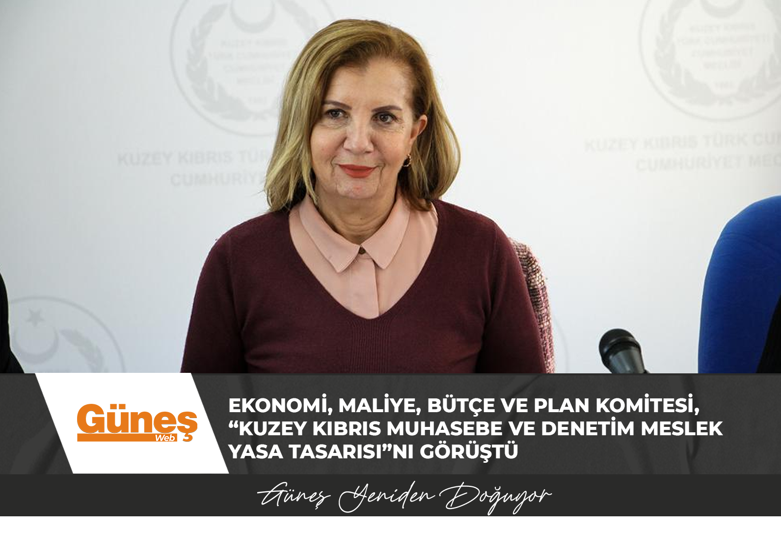 Ekonomi, Maliye, Bütçe ve Plan Komitesi, “Kuzey Kıbrıs Muhasebe ve Denetim Meslek Yasa Tasarısı”nı görüştü