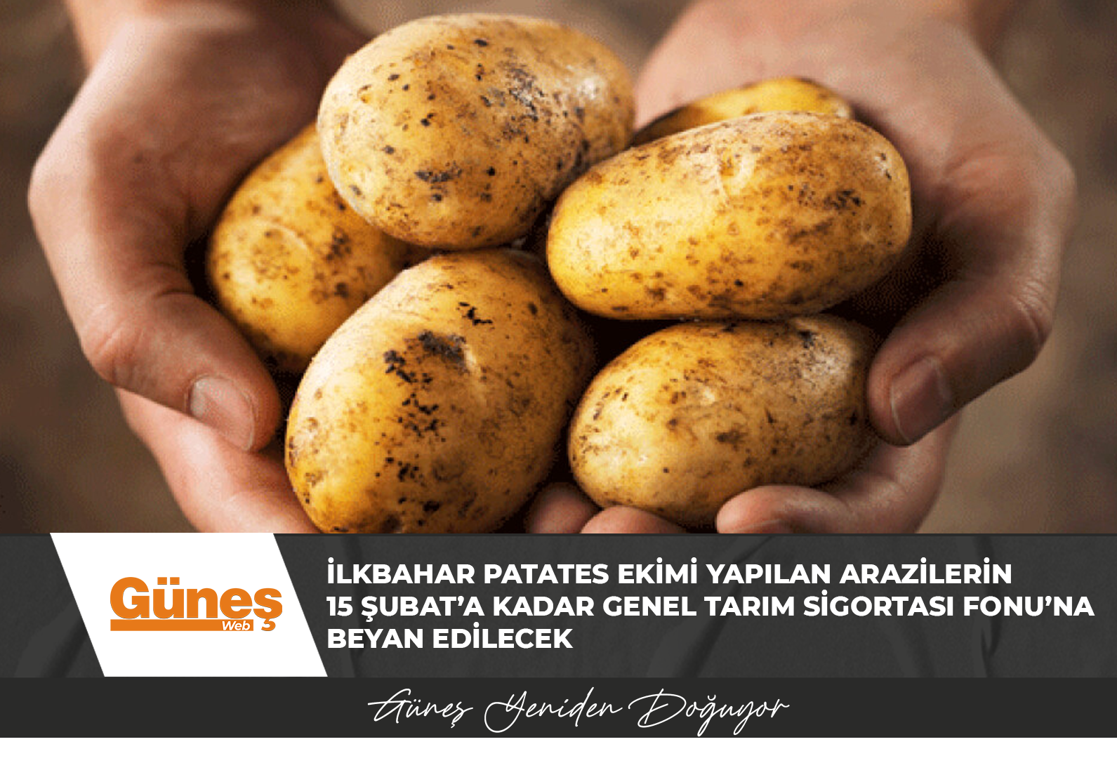İlkbahar Patates ekimi yapılan arazilerin 15 Şubat’a kadar Genel Tarım Sigortası Fonu’na beyan edilecek
