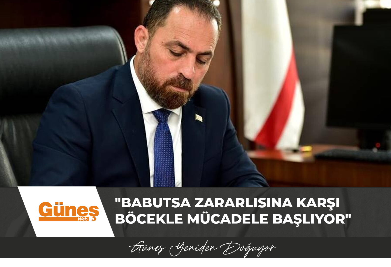 Çavuş; Babutsa Zararlısına Karşı Böcekle Mücadele Başlıyor