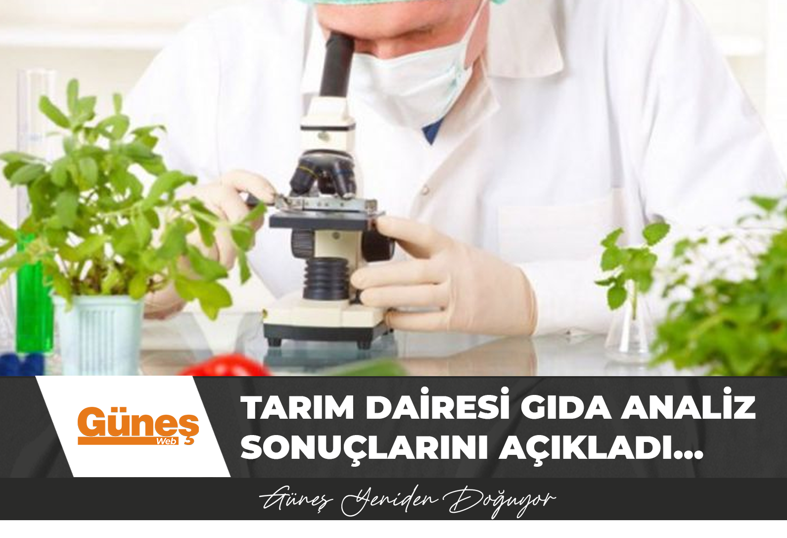 Tarım Dairesi gıda analiz sonuçlarını açıkladı…