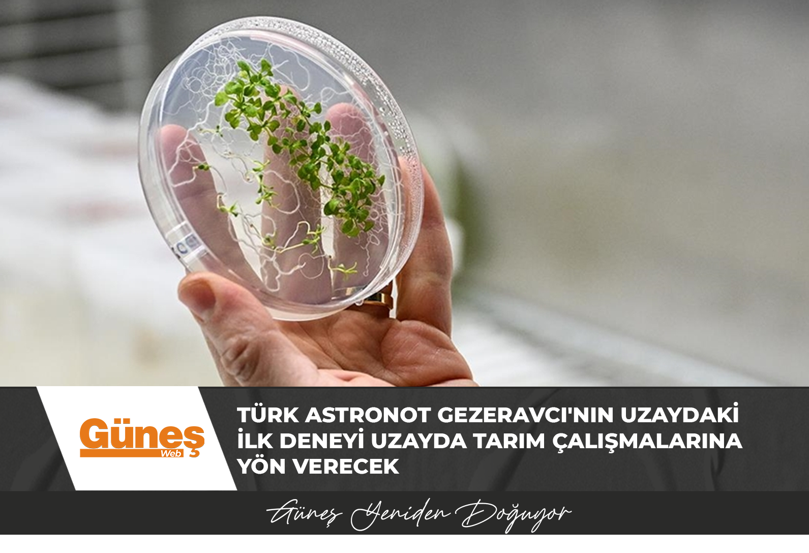 Türk astronot Gezeravcı’nın uzaydaki ilk deneyi uzayda tarım çalışmalarına yön verecek