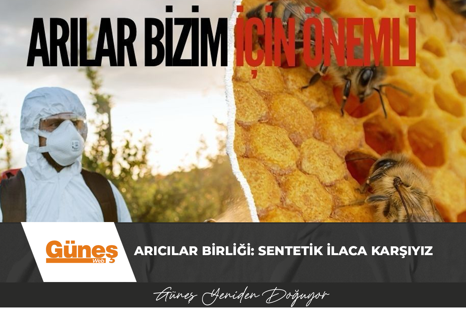 Arıcılar Birliği: Sentetik İlaca Karşıyız
