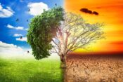Çevre uzmanından “iklim değişikliğinin 3 milyar insanı etkileyeceği” uyarısı
