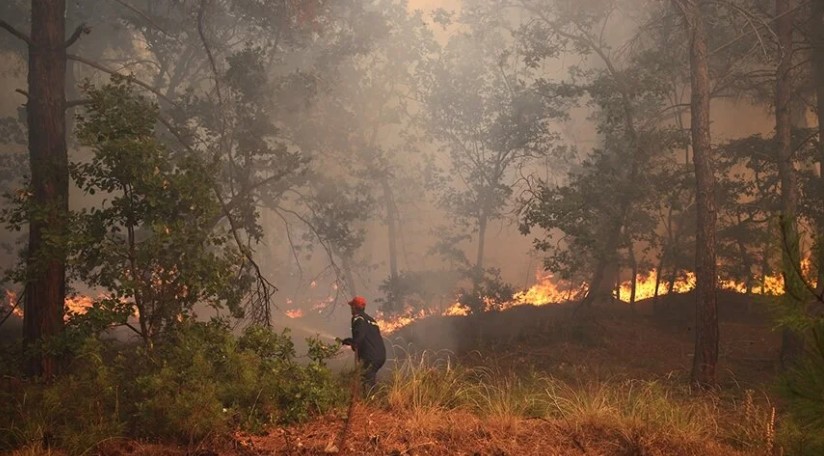 Yunanistan’da çıkan orman yangını devam ediyor