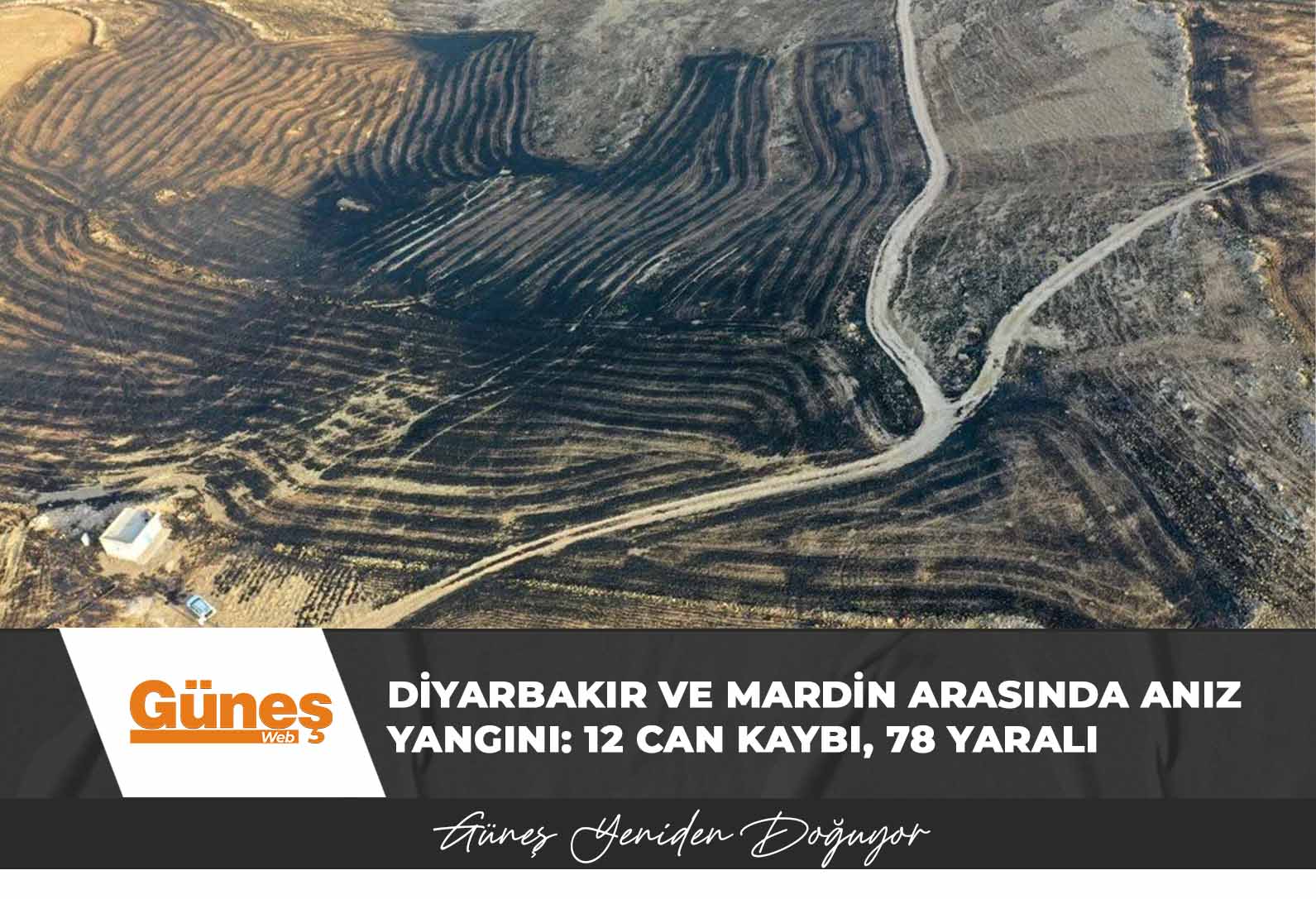 Diyarbakır ve Mardin arasında anız yangını: 12 can kaybı, 78 yaralı