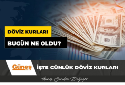 Döviz Kurları (21 Kasım 2024)