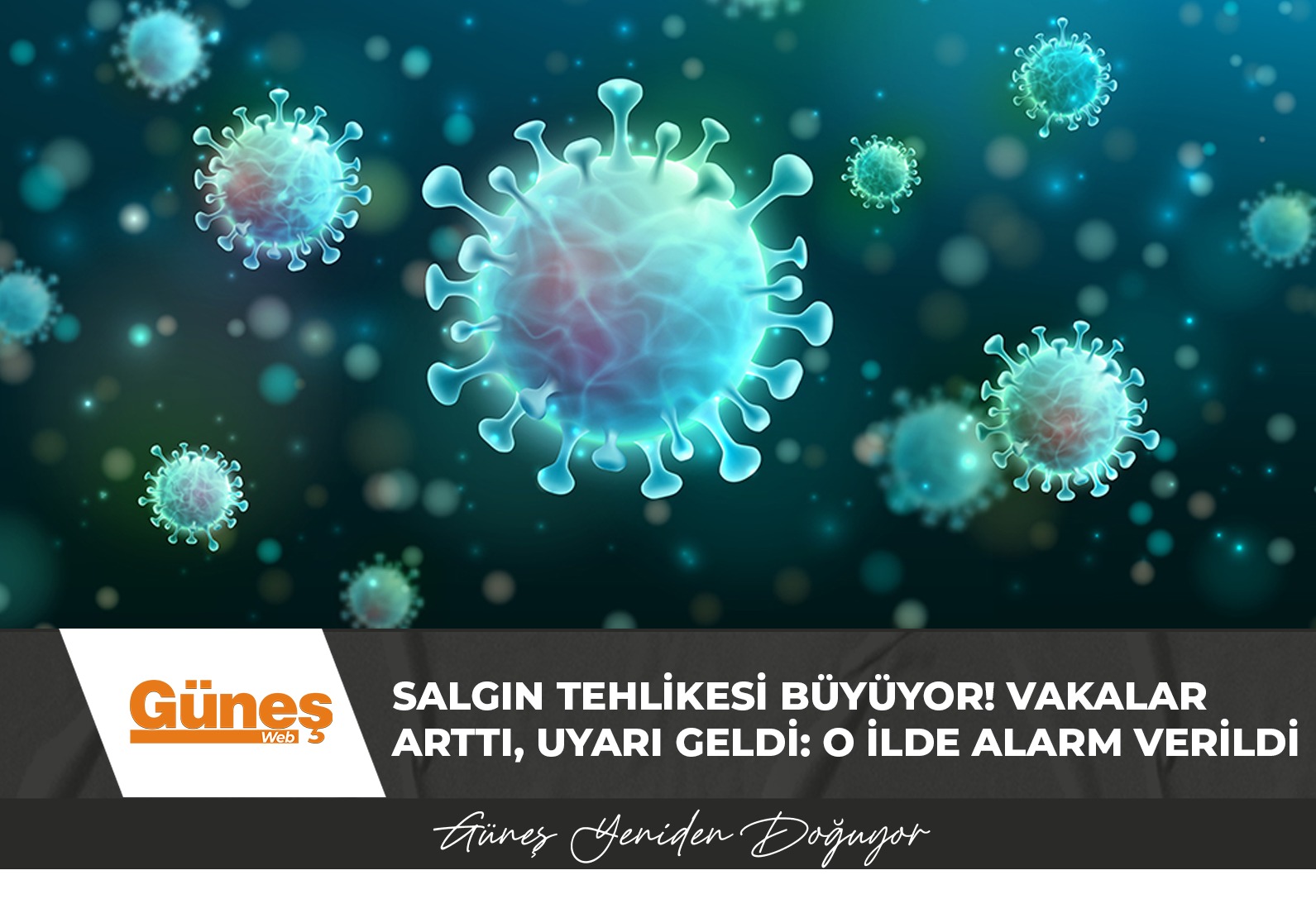 dd981df3-0acf-43c5-b2d1-917fbaded6ee