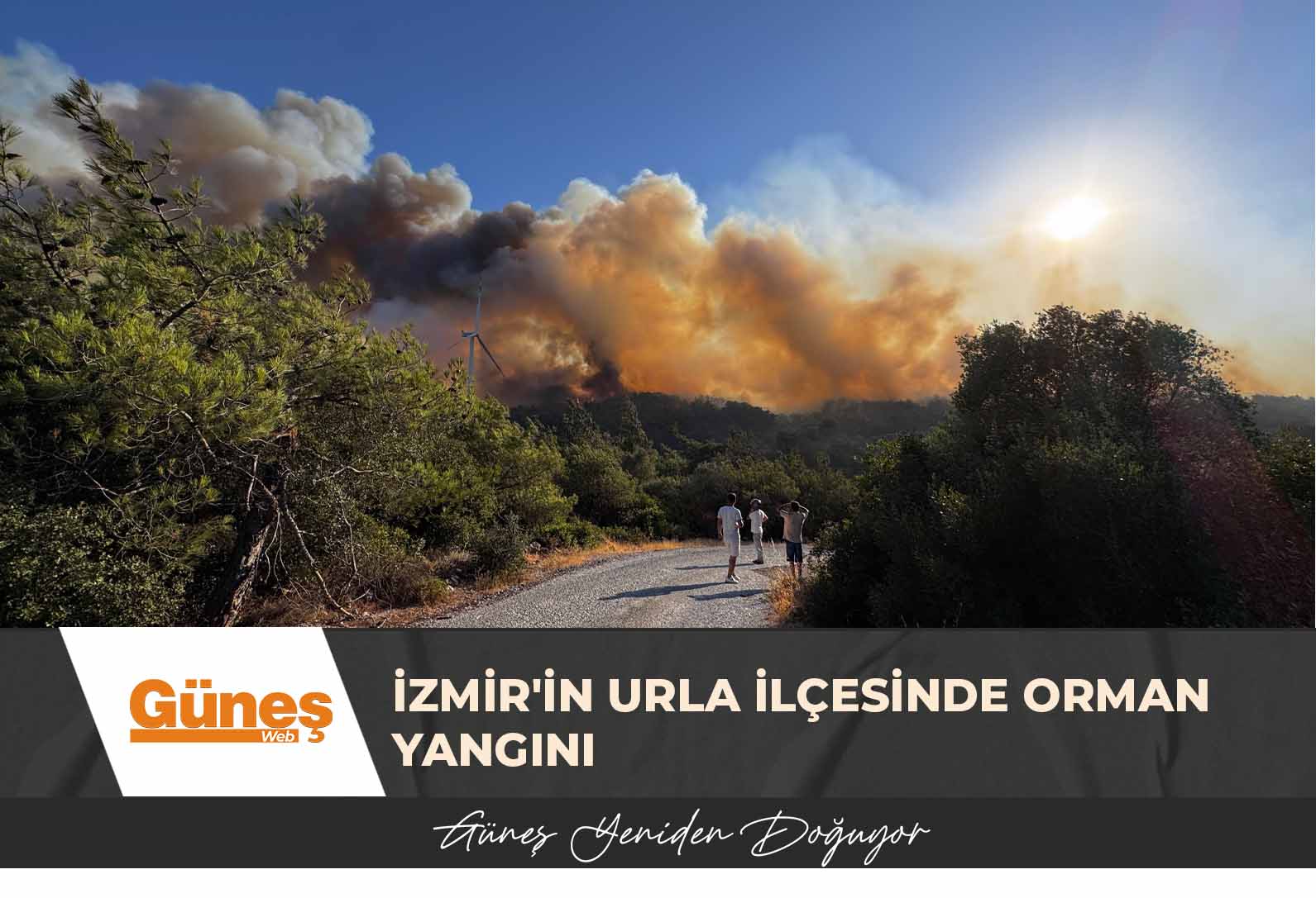 İzmir’in Urla ilçesinde orman yangını