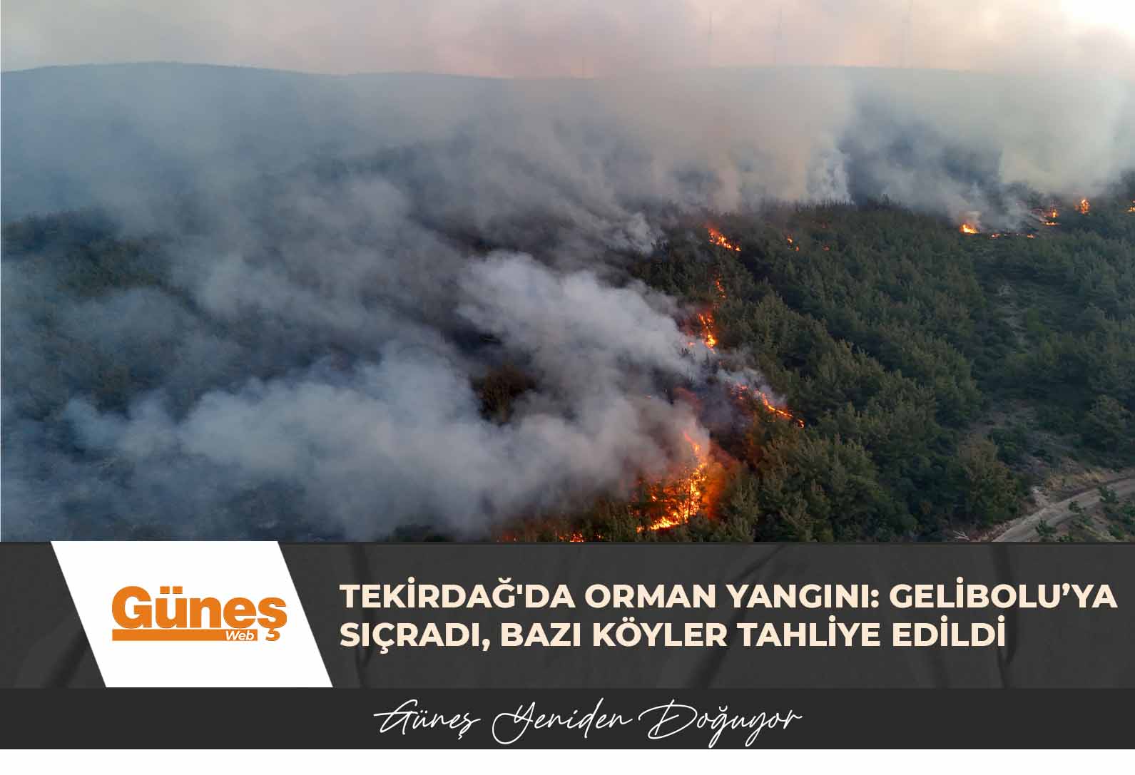 Tekirdağ’da orman yangını: Gelibolu’ya sıçradı, bazı köyler tahliye edildi