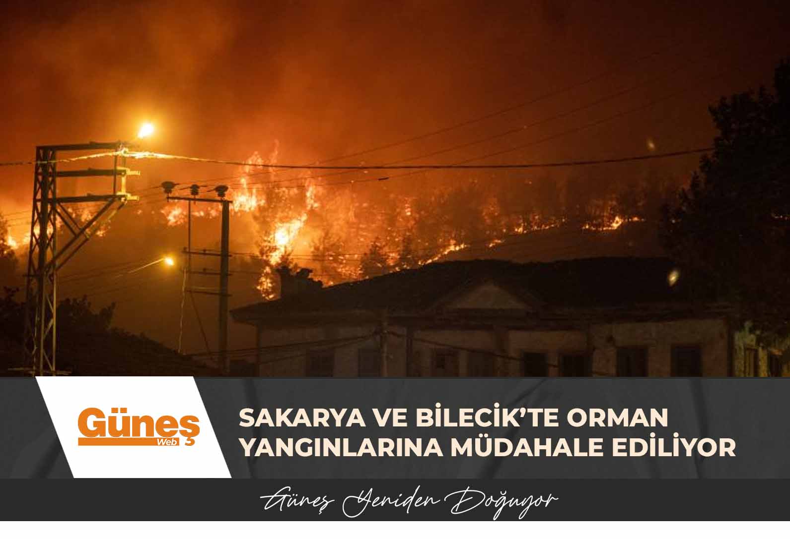 Sakarya ve Bilecik’te orman yangınlarına müdahale ediliyor