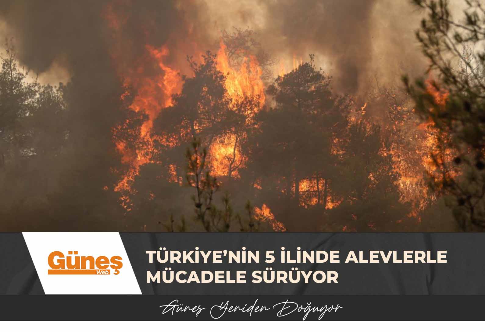 Türkiye’nin 5 ilinde alevlerle mücadele sürüyor