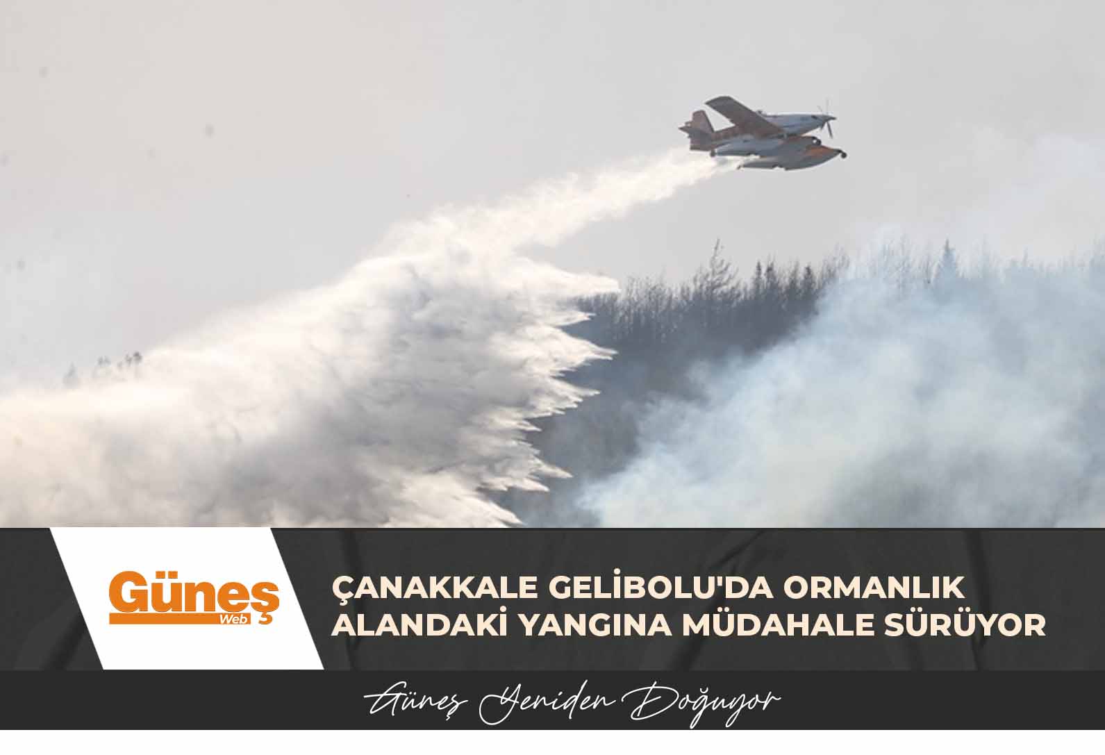 Çanakkale Gelibolu’da ormanlık alandaki yangına müdahale sürüyor