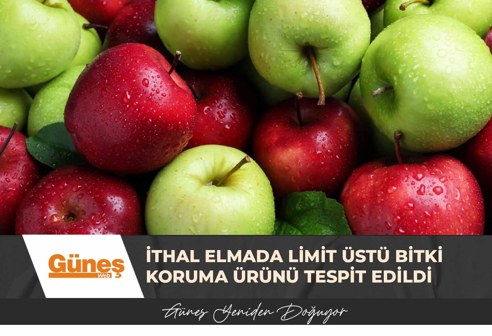 İthal elmada limit üstü bitki koruma ürünü tespit edildi