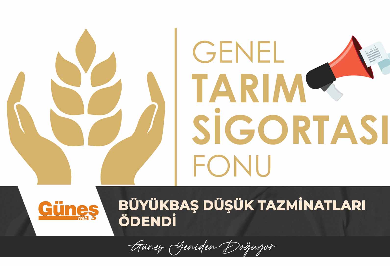 Büyükbaş düşük tazminatları ödendi