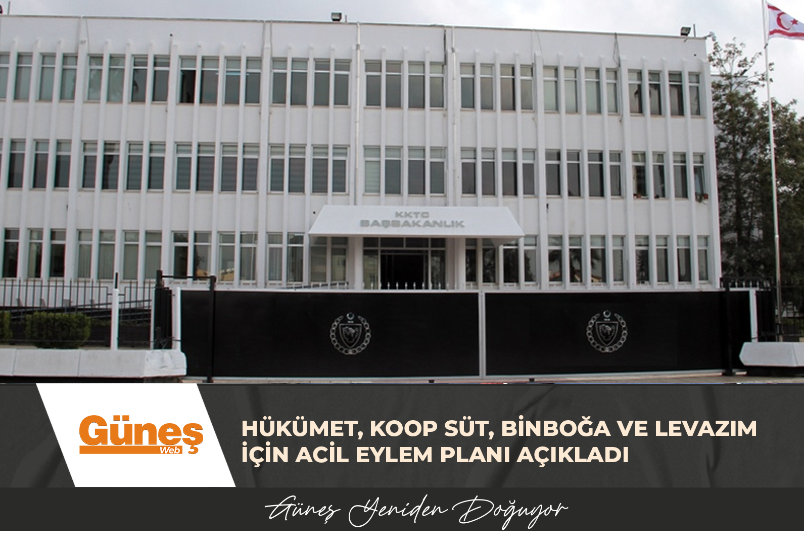 HÜKÜMET, KOOP SÜT, BİNBOĞA VE LEVAZIM İÇİN ACİL EYLEM PLANI AÇIKLADI