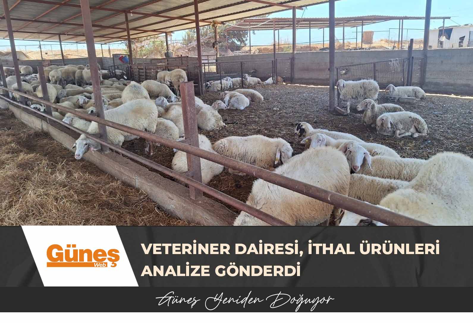 Veteriner Dairesi, çiftlik, işletme ve kesimhaneleri denetledi, ithal ürünleri analize gönderdi