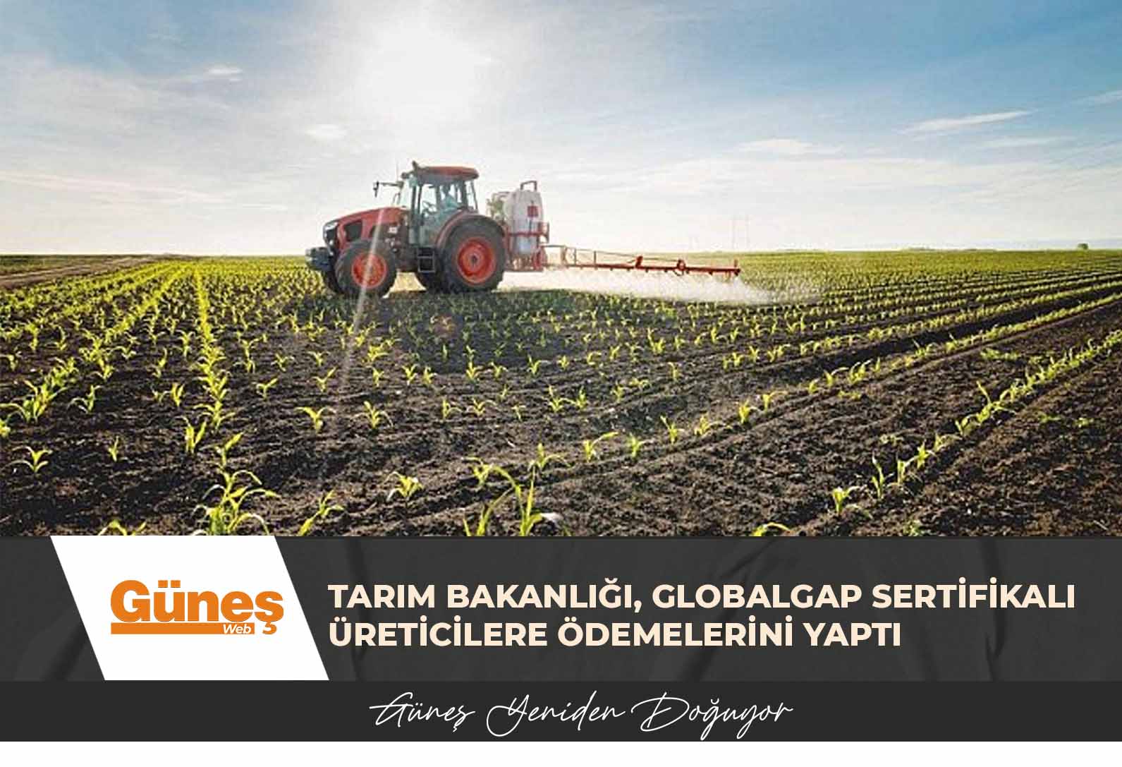 Tarım Bakanlığı, Globalgap Sertifikalı Üreticilere ödemelerini yaptı