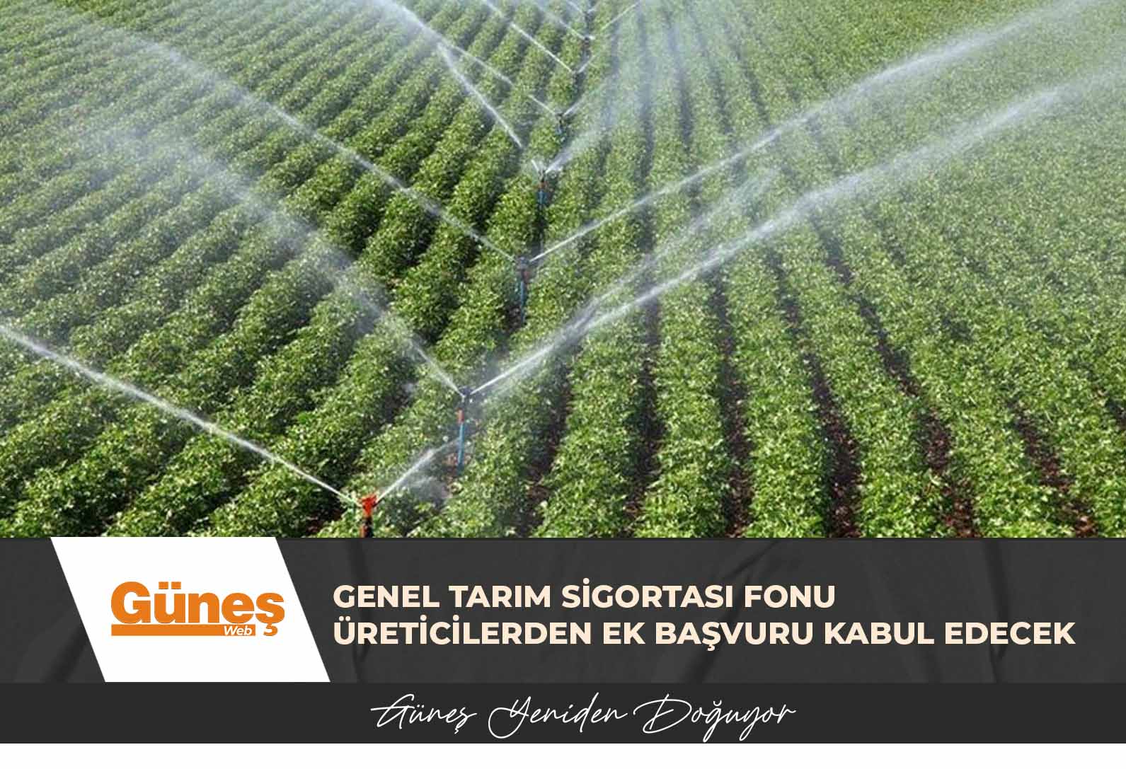 Genel Tarım Sigortası Fonu üreticilerden ek başvuru kabul edecek