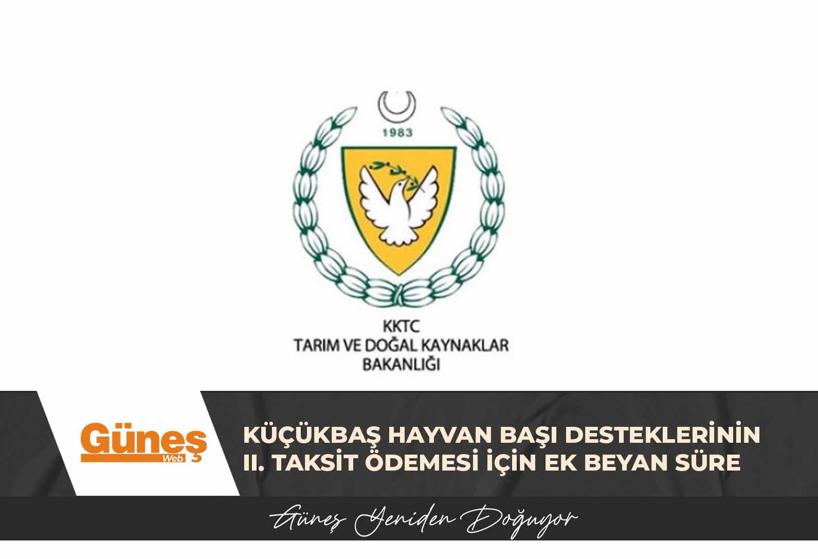 Küçükbaş Hayvan Başı Desteklerinin II. taksit ödemesi için ek beyan süresi verildi