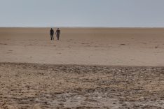 İran’daki benzeri görülmemiş kuraklık: İklim değişikliğinin yol açtığı tespit edildi