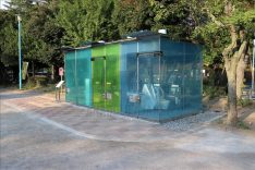 Japonya’da umumi tuvaletten çıkan yaşlı adama ayı saldırdı