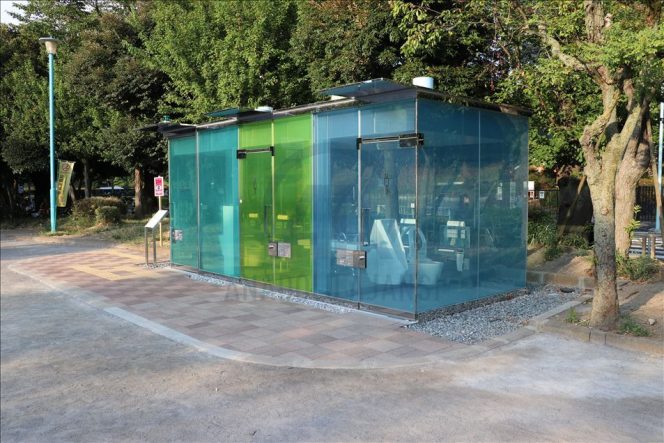 Japonya’da umumi tuvaletten çıkan yaşlı adama ayı saldırdı