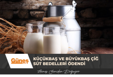 GÜNEŞ MANŞET
