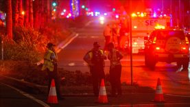 thumbs_b_c_1a312217e25c3e88562dddd1940f597d