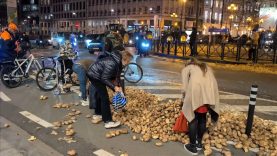 thumbs_b_c_525a3e40209ef7c9e7330379470e8302