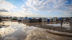 thumbs_b_c_cdcc4921f2a1c692b1bc2415a06530ef